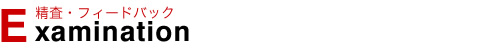 精査・フィードバック